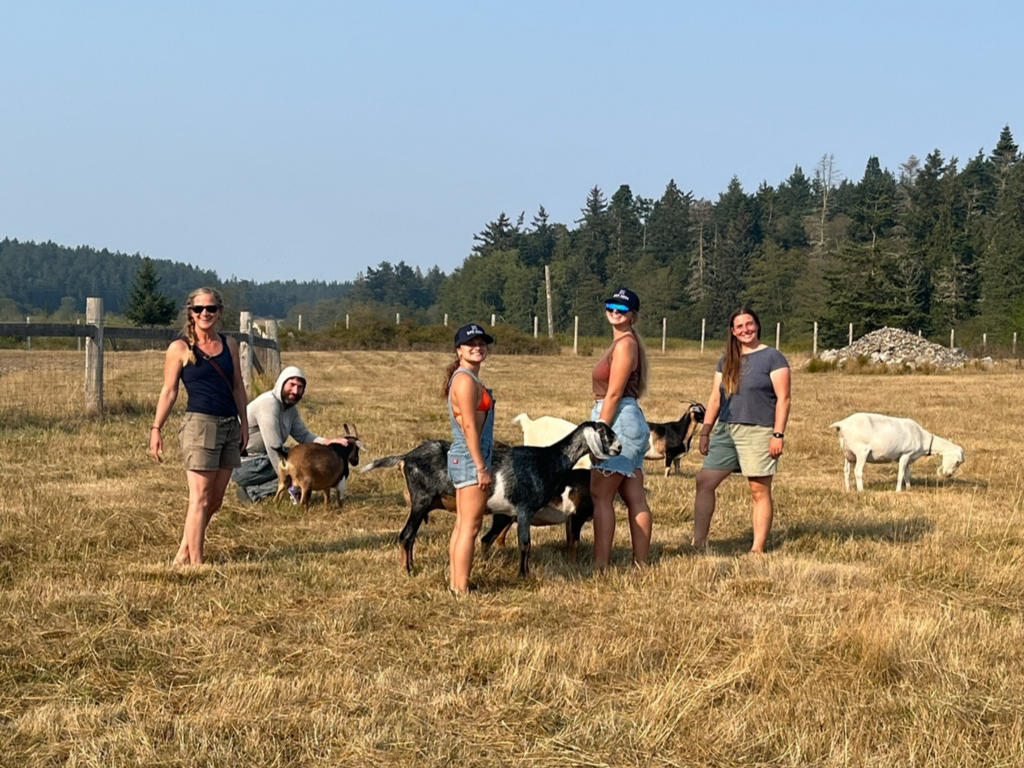 students stand in a field with livestock