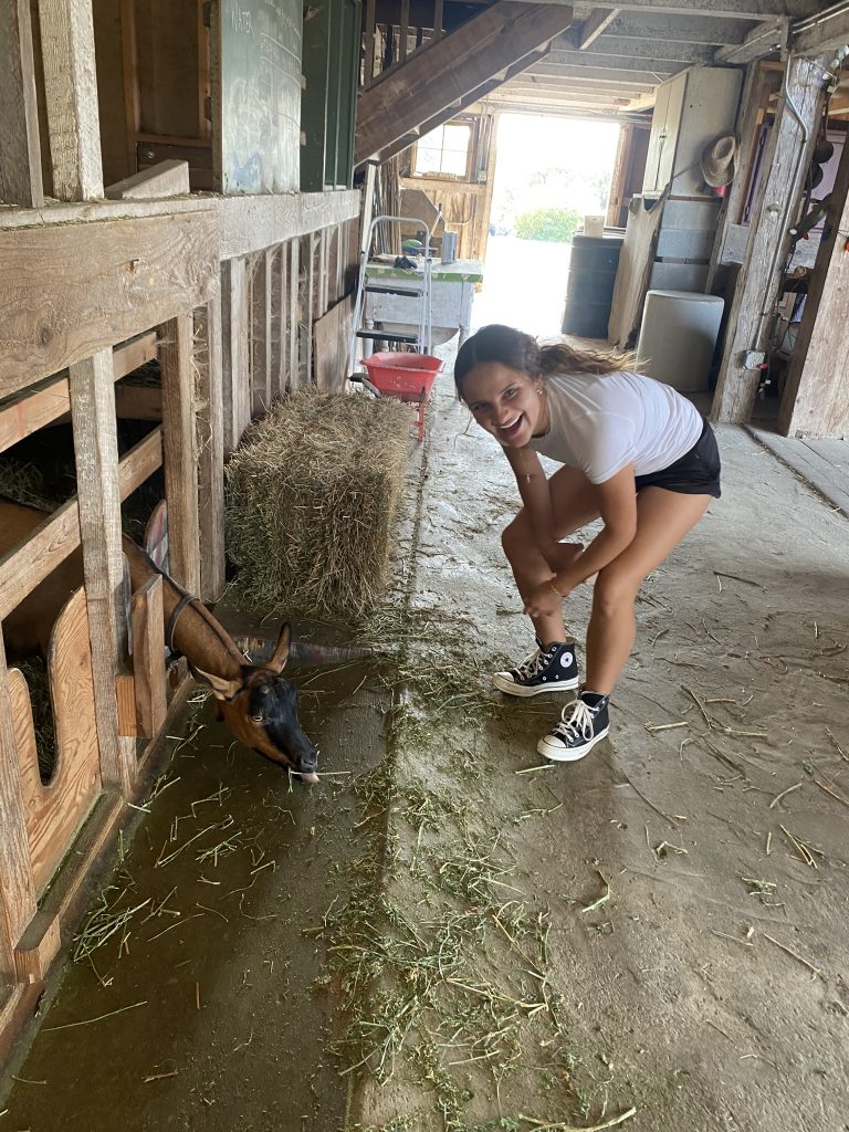 a student smiles as she feeds a goat