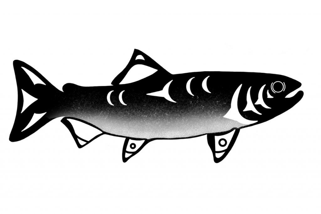 traditional drawing of a salmon in black and white