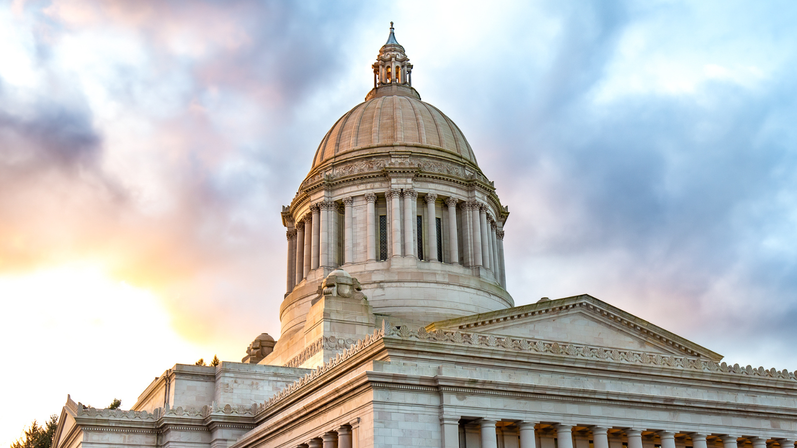 Demystifying policy: HSERV 553 brings permit-to-purchase lawmakers into the classroom